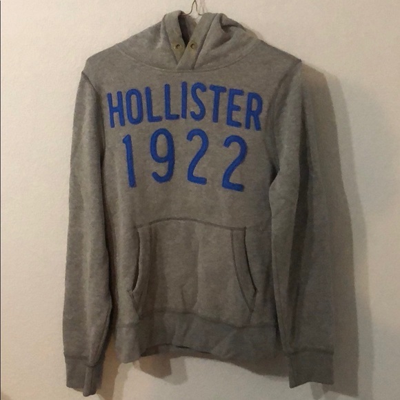 Gray Hollister Hoodie - Picture 1 of 7